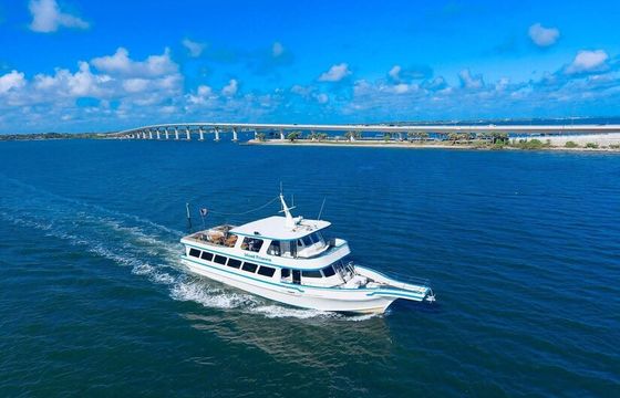 Enjoy the best views of Annapolis aboard the Island Princess