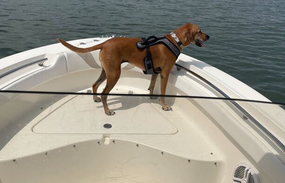 20' Pioneer Sportfish Center Console aka The KimberKraft
