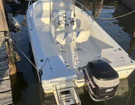 Explore the beautiful Sassafras River on a Center Console