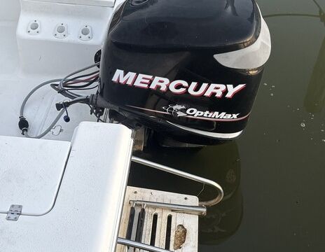 Explore the beautiful Sassafras River on a Center Console