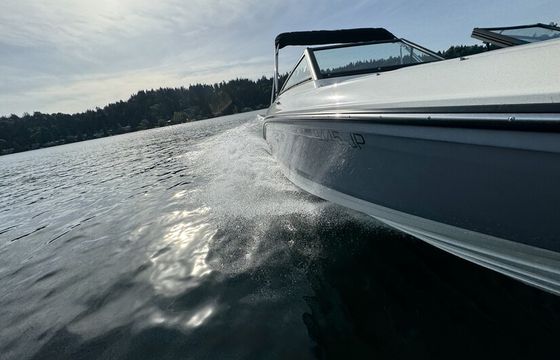 2023 SEA RAY SPX 210 for Rental on Lake Washington or Lake Stevens