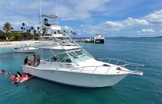 CABO 40