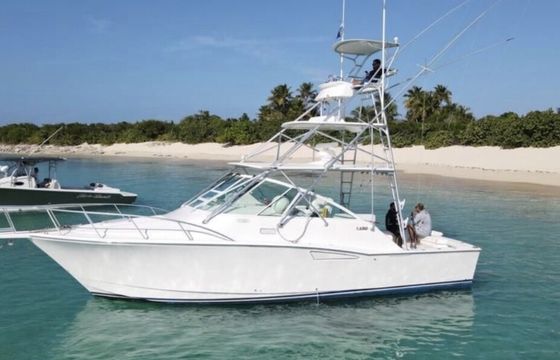 CABO 40