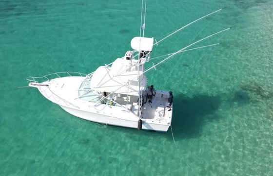 CABO 40