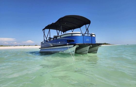 Premium Avalon Tritoon 25ft- 12 Passenger + fish &amp; tube