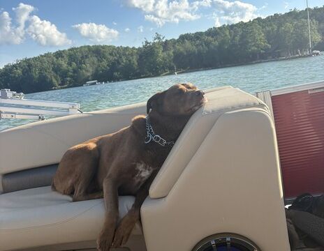 24 ft — 2020 Tahoe LTZ VRB Pontoon