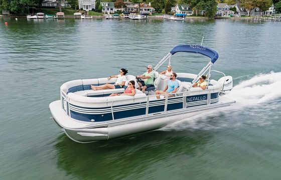 Private Dolphin and Sandbar Adventure | Up to 12 Guests