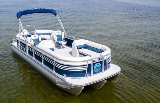 Private Dolphin and Sandbar Adventure | Up to 12 Guests