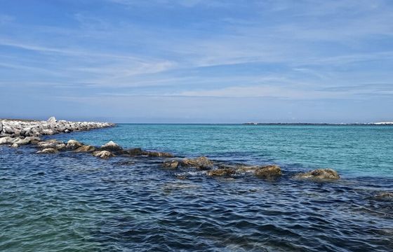 Panama City Beach Adventure – Captained Center Console Tours & Cruises