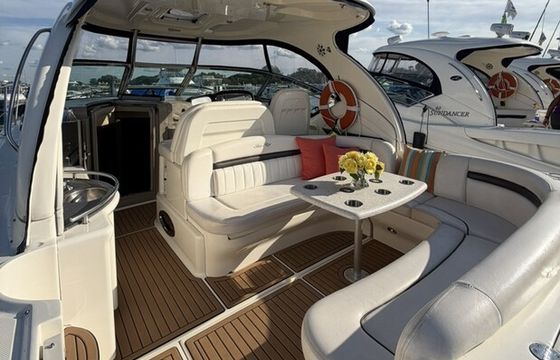 Sea Ray Sundancer 390 Yacht in Chicago