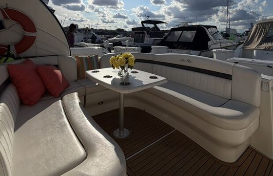 Sea Ray Sundancer 390 Yacht in Chicago