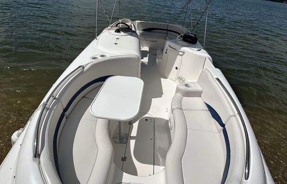 Comfort Meets Performance – Chaparral Sunesta 232 on Lake Wylie