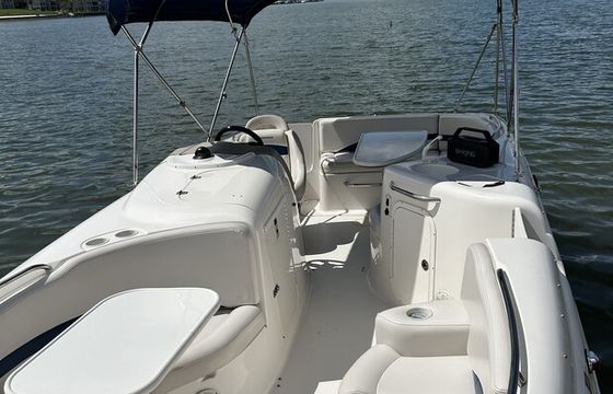 Comfort Meets Performance – Chaparral Sunesta 232 on Lake Wylie