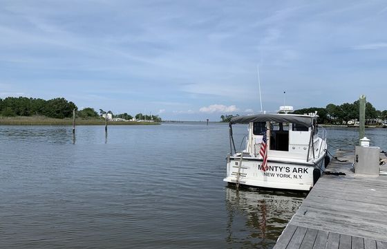 Boat trips are the perfect way to see the world!