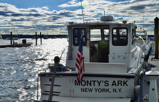 Boat trips are the perfect way to see the world!