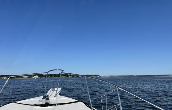 Boat trips are the perfect way to see the world!