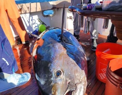 80' Roscioli Luxury Fishing &amp; Yacht Charter in Montauk &amp; Hamptons!