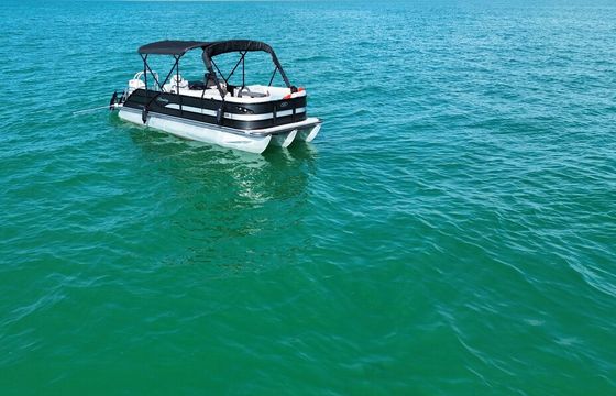 2025 Tritoon – Luxury | John's Pass, Egmont, Shell Key, St. Pete Beach