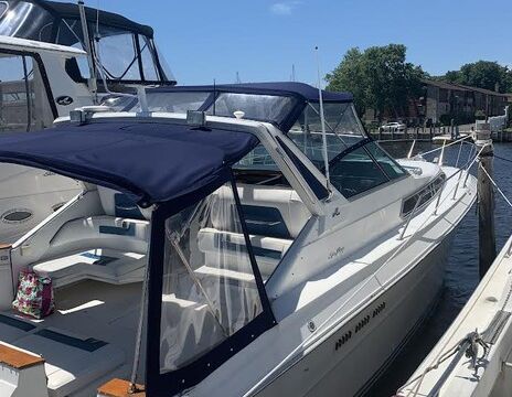 Beautiful Sea Bliss Sundancer boat!