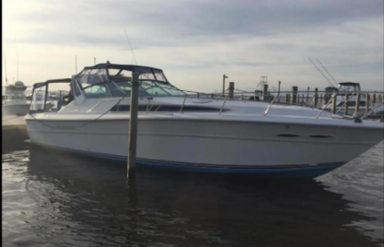 Beautiful Sea Bliss Sundancer boat!