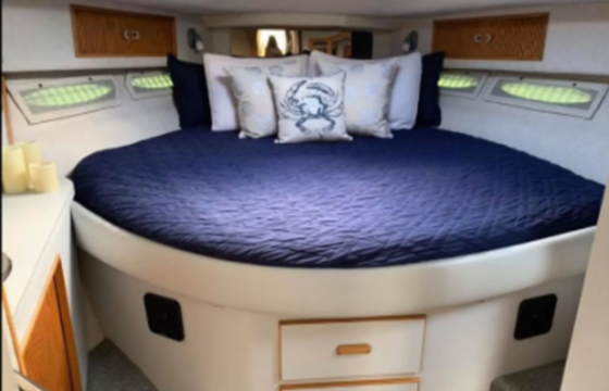 Beautiful Sea Bliss Sundancer boat!