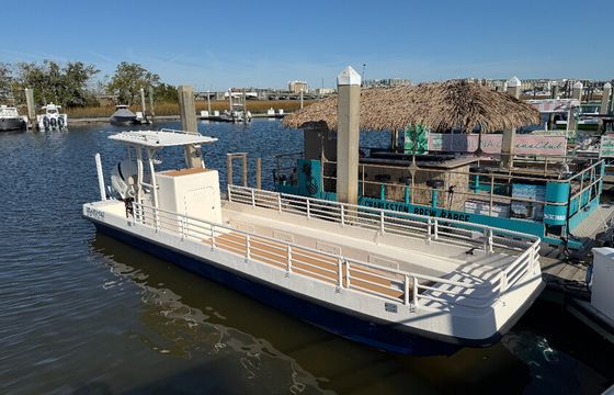 Private Charleston Harbor Cruise - Fun Boat! Fun Captain!