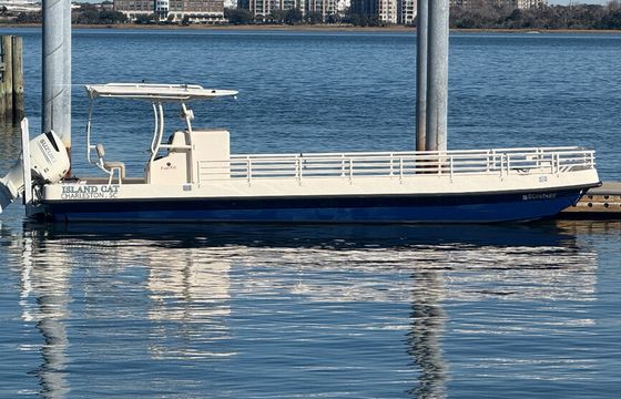 Private Charleston Harbor Cruise - Fun Boat! Fun Captain!