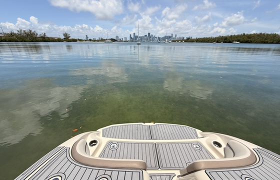 Chartecito Miami boat