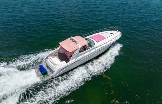 SPACIOUS 60' SEA RAY WITH 1 FREE HOUR MONDAY-THURSDAY