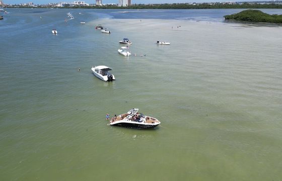 2025 Luxury 22 Foot Yamaha with Captain