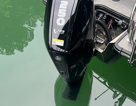 Norris Lake, Tritoon with 250hp engine