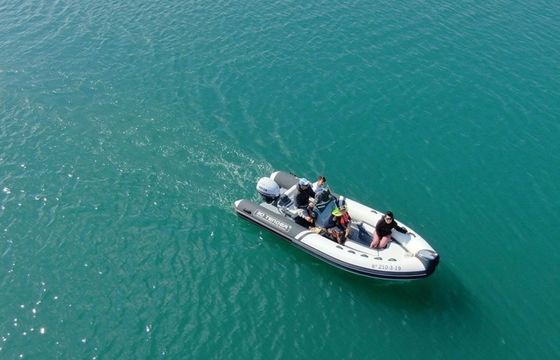 3D Tender Lux 500 Kalima 60