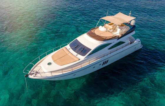 Abacus 61 Estela
