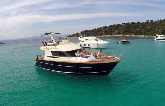 ACM Dufour Dynasty 43 Sissy