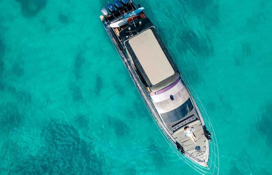 Acura 55 Moana