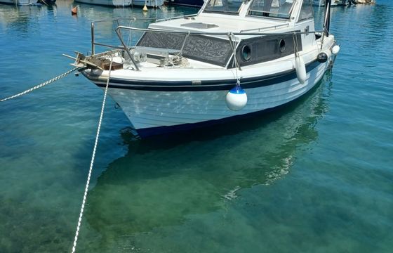 Adriatic 790 87