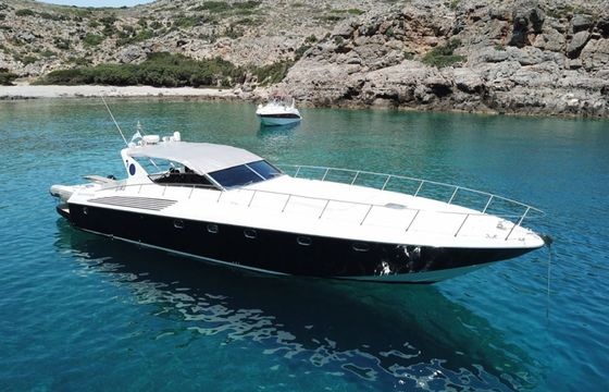 Alfamarine 58 Babyface