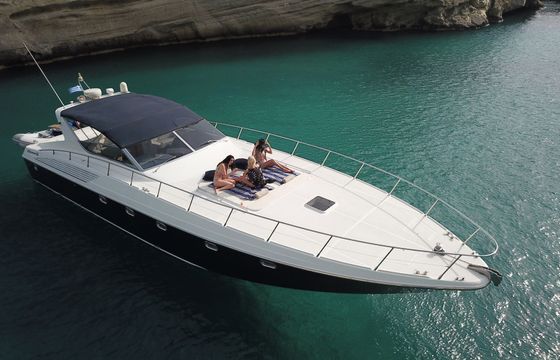 Alfamarine 58 Babyface