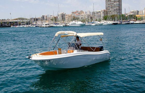 Allegra 21 Alimed 2