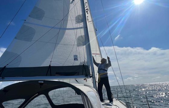 Albin 28 Vipera