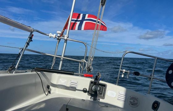 Albin 28 Vipera