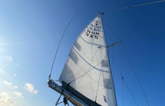 Albin 28 Vipera