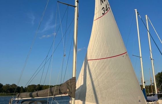 Albin 28 Vipera