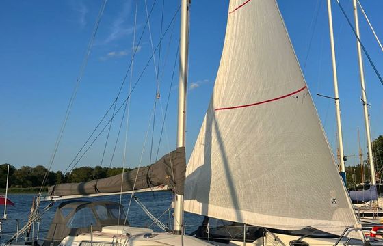Albin 28 Vipera