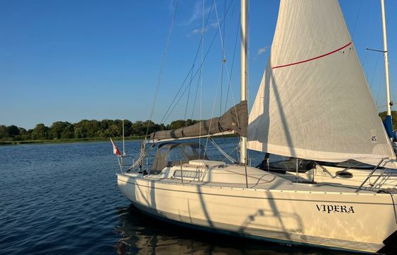 Albin 28 Vipera