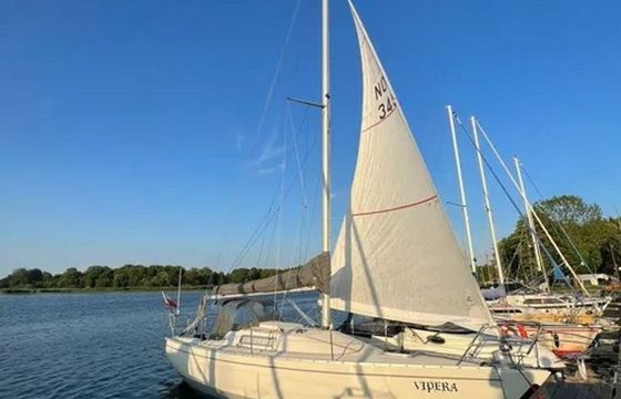 Albin 28 Vipera
