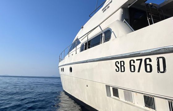 Alpa 52 Mary Io