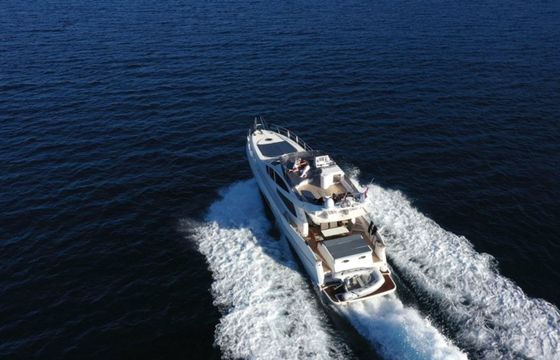 Alena 58 Sport Fly Morning Light