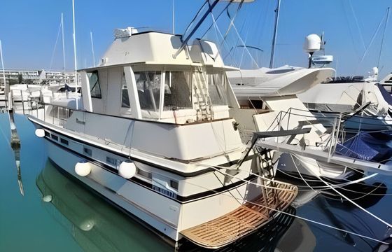 Ancora 47 Georgia