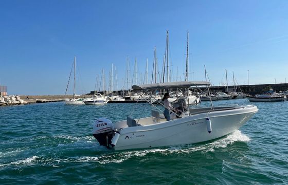Allegra 21 23 115 cv